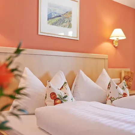 Hotell Steiger Neukirchen am Großvenediger