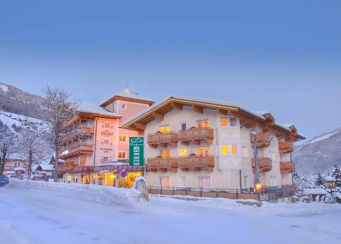 Hotell Steiger 4*